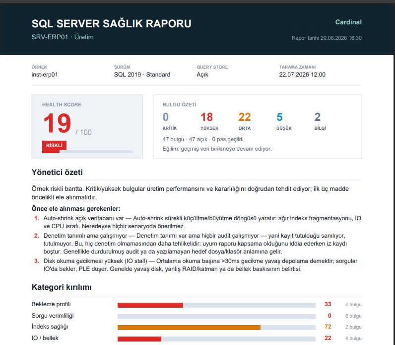 Örnek PDF rapor birinci sayfası — health score 19/100 riskli bant, bulgu özeti ve yönetici özeti